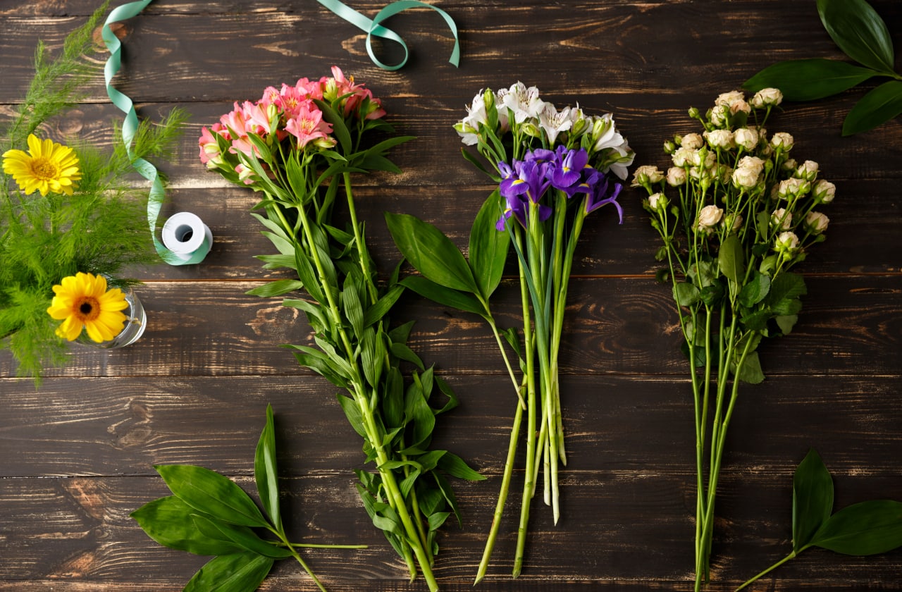 Piante da Fiori per Reciso
