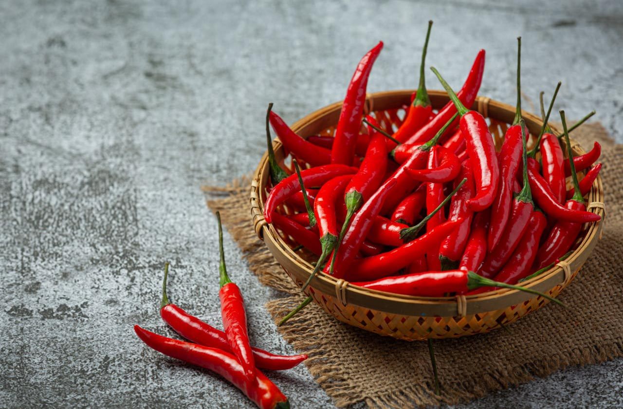 Piante di Peperoncino