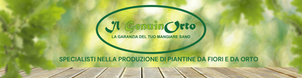 genuinorto specialisti nella produzione - Produzione fiori, piante orto