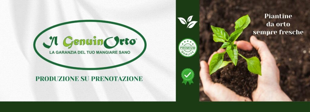 produzione orticole udine - Produzione fiori, piante orto