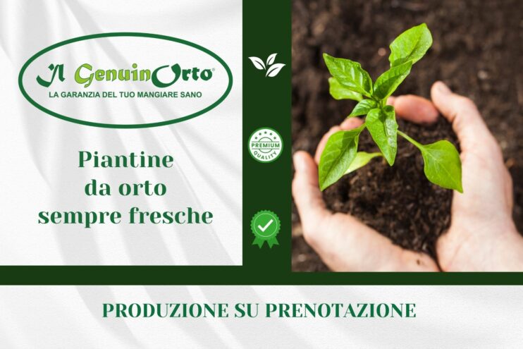 produzione piantine su prenotazione friuli